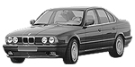 BMW E34 P1097 Fault Code